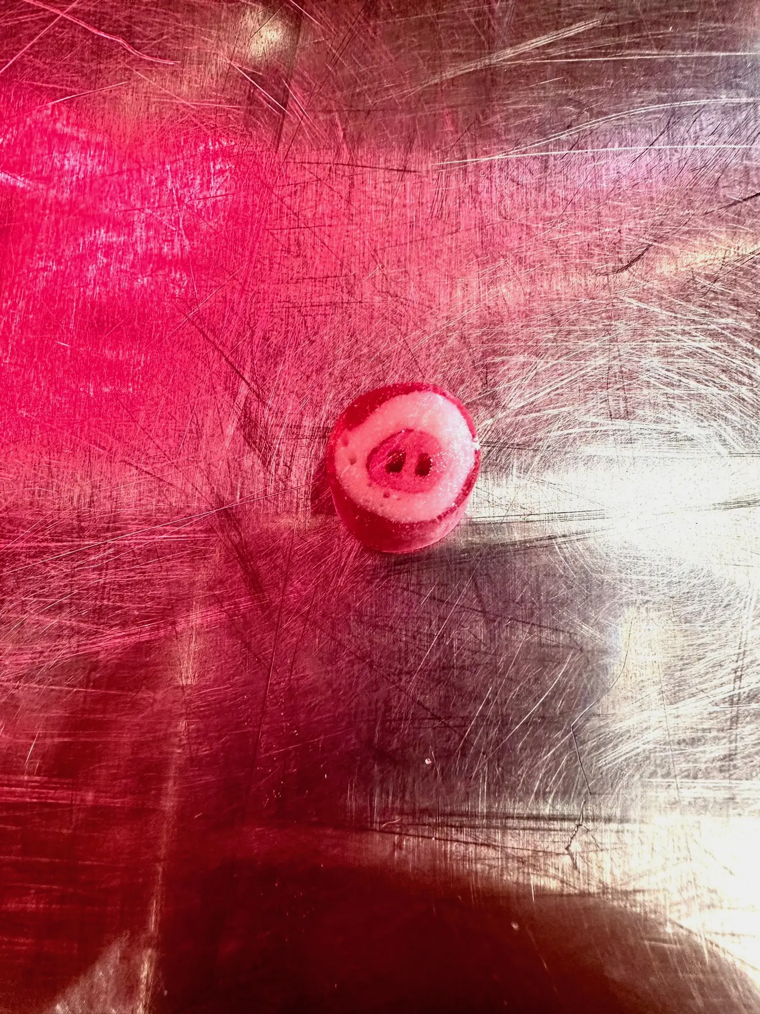 A single pig-snout shaped candy on a silver metal table.