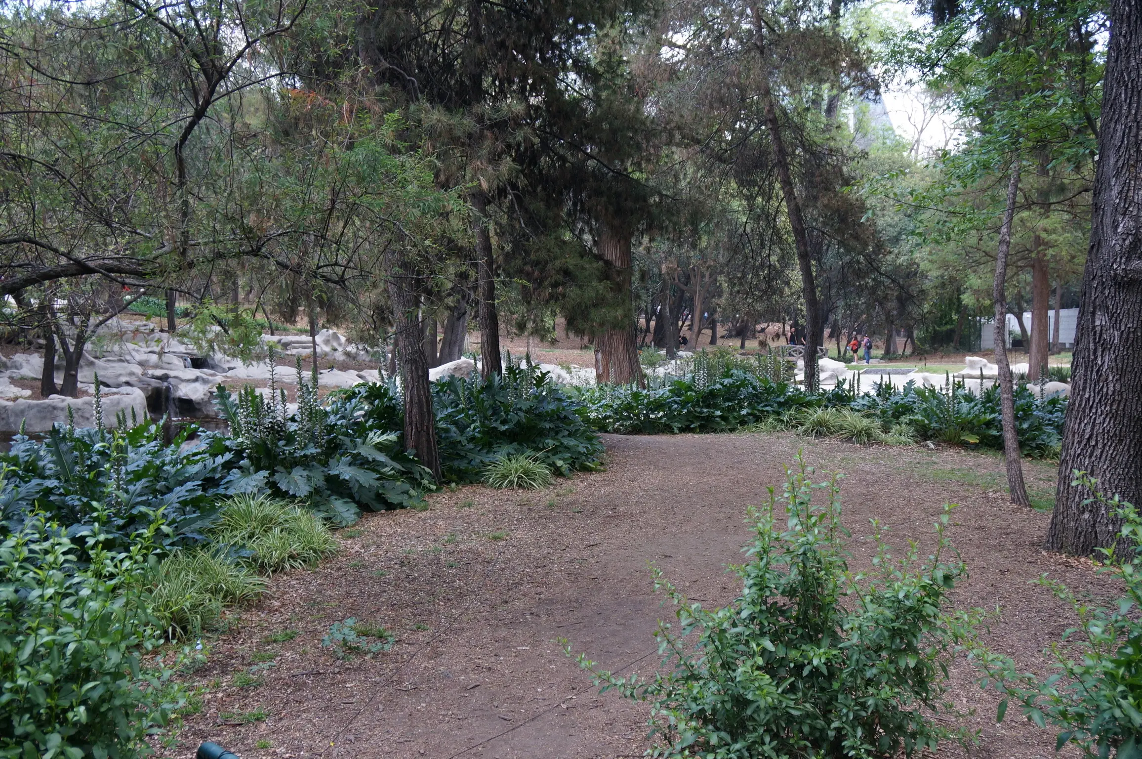 A brown dirt trail is dotted by green trees and bushes.