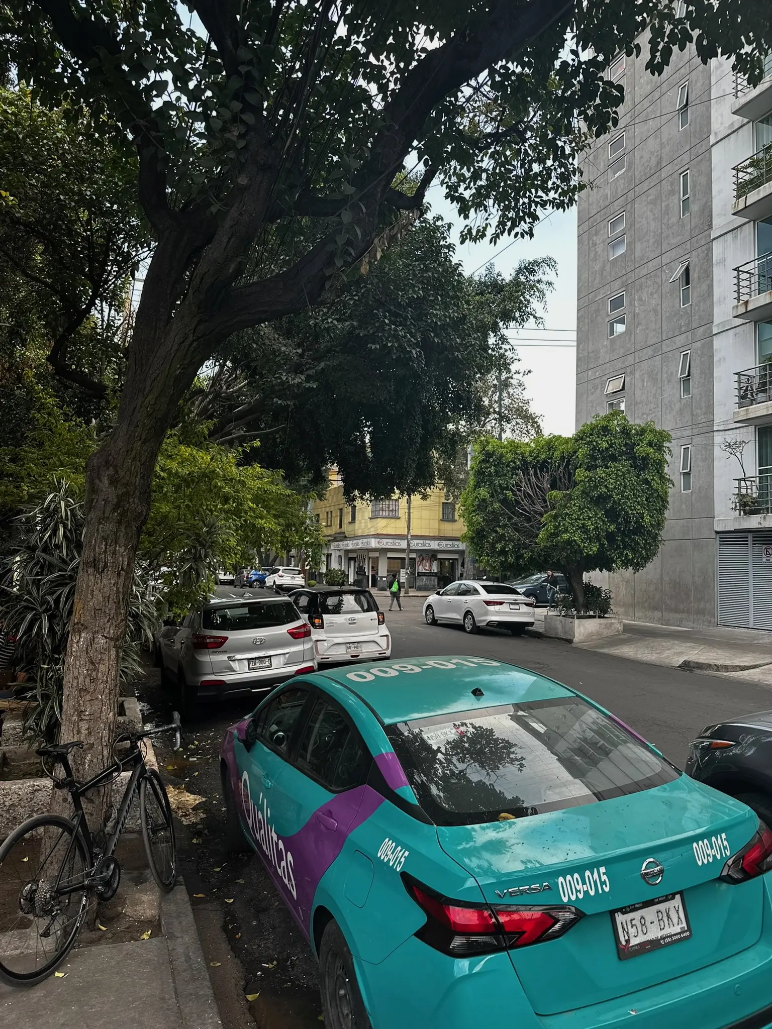 A teal blue car with a purple is in the foreground with a gray building that rises out of frame at mid-distance and a yellow building at far distance. On the left is a tall tree with green leaves. The street is dotted with trees.